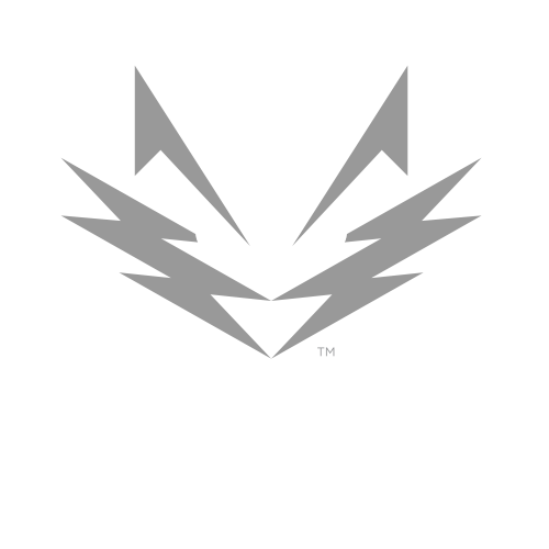 SilverSky